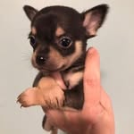 Barrett Smith - @sbarrett25 - Instagram