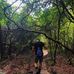Barrett Thornton - Facebook