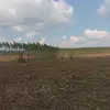 Barrie Allen - @barrie.allen80 - TikTok