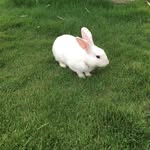Barrie Allen - @allen_barrie - Instagram