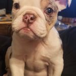 Barrie Anderson Divelbiss - @barriedivelbiss - Instagram