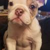 Barrie Anderson Divelbiss - @barrie.anderson.d - TikTok