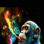 Barry Brown - Facebook