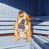 Barrie Turner - @barrie.turner1 - TikTok