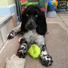 barriearkwright - @barriearkwright - TikTok