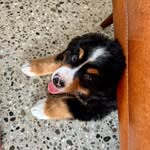 Barry Wright - @barry_theberner - Instagram
