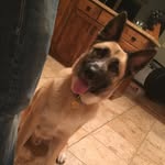 Maximus (Max) Barron Fuller - @maximus.barron - Instagram