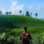 k. Akbar b. - @akbar_barry - Instagram