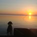 Barry Albritton - Facebook