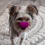 barry ballard - @ballard_barry - Instagram