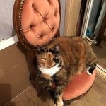 Allison Barry - @allisonbarry8252 - Instagram