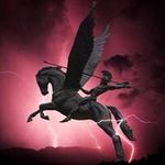 Barry Allison - @barryandmax14 - Instagram