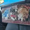 Barry Allison - @barry.allison7 - TikTok