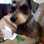 Alle Deason Barry - @all1e66 - Instagram