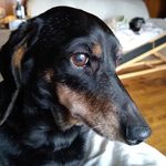 Barry Ammons - @barryammons57 - Instagram