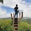 barrygutierrezandrade - @barrygutierrezandrade - TikTok