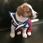Barry Angel Alex Dorsdorf - @barryangelalex - Instagram