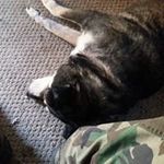 Barry Antill - @barryantill - Instagram