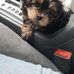 Barry Arnette - Facebook