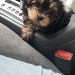Barry Arnette - @barryarnette - Instagram