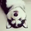 barry Aaron - @barry.aaron - TikTok
