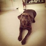Barry Arthur - @barry.arthur.16 - Instagram