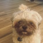 Barry Vaughan - @barry_arthur_vaughan - Instagram