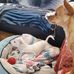 Barry Ash - Facebook