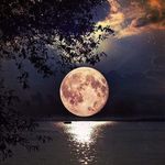 Barry Ashby - @barrykashby52 - Instagram