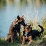 @aventure_barry.jude - Instagram