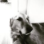 Barry Avery - @jeffythe_best - Instagram