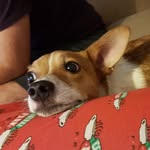 Barry Barry - @theawesomebarry - Instagram