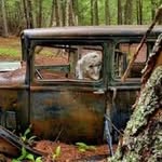 Barry Babin - @barrybabin4 - Instagram
