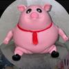 🐷 Barry Bacon 🐷 - @.barry.bacon - TikTok