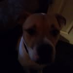 Barry Bailey - @barry.bailey.524381 - Instagram