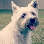 Barry Bales - @bales97 - Instagram
