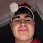 Barry🐻 - @barry_bales - Instagram