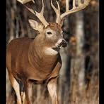 Barry Ballard - Facebook