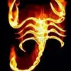 scorpianbear - @barryballard8 - TikTok