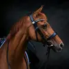 BarryBarnardPhotography - @barrybarnardphoto - TikTok