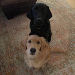 Barry and Barney King - @diggaz_wit_attitudes - Instagram