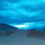 Barry Barney - @barrybarney - Instagram