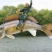 Barry Barney - Facebook
