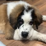 @barry_baroslaw_bernardyn - Instagram