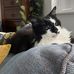 Barry Beames - Facebook