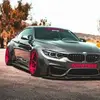 Barry Bee - @barry.bee2 - TikTok