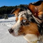 Barry Belli - @bbelli27 - Instagram