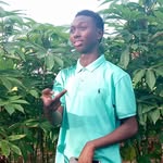 Amadou Bente Barry - @amadoubente.barry - Instagram