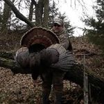 Barry Benton - @barry_benton - Instagram