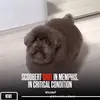 peppybump - @barryberkmanfan - TikTok